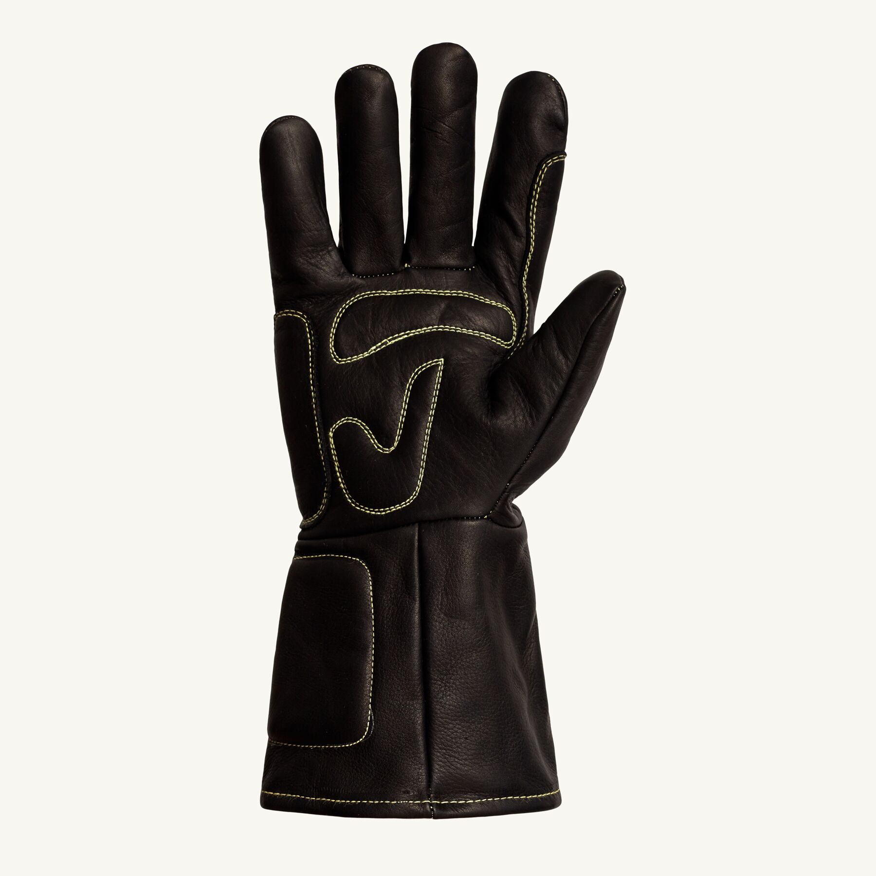 398OBPB-Palm.jpg