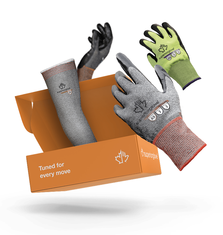 Sample Box - max Dexterity 2025 1
